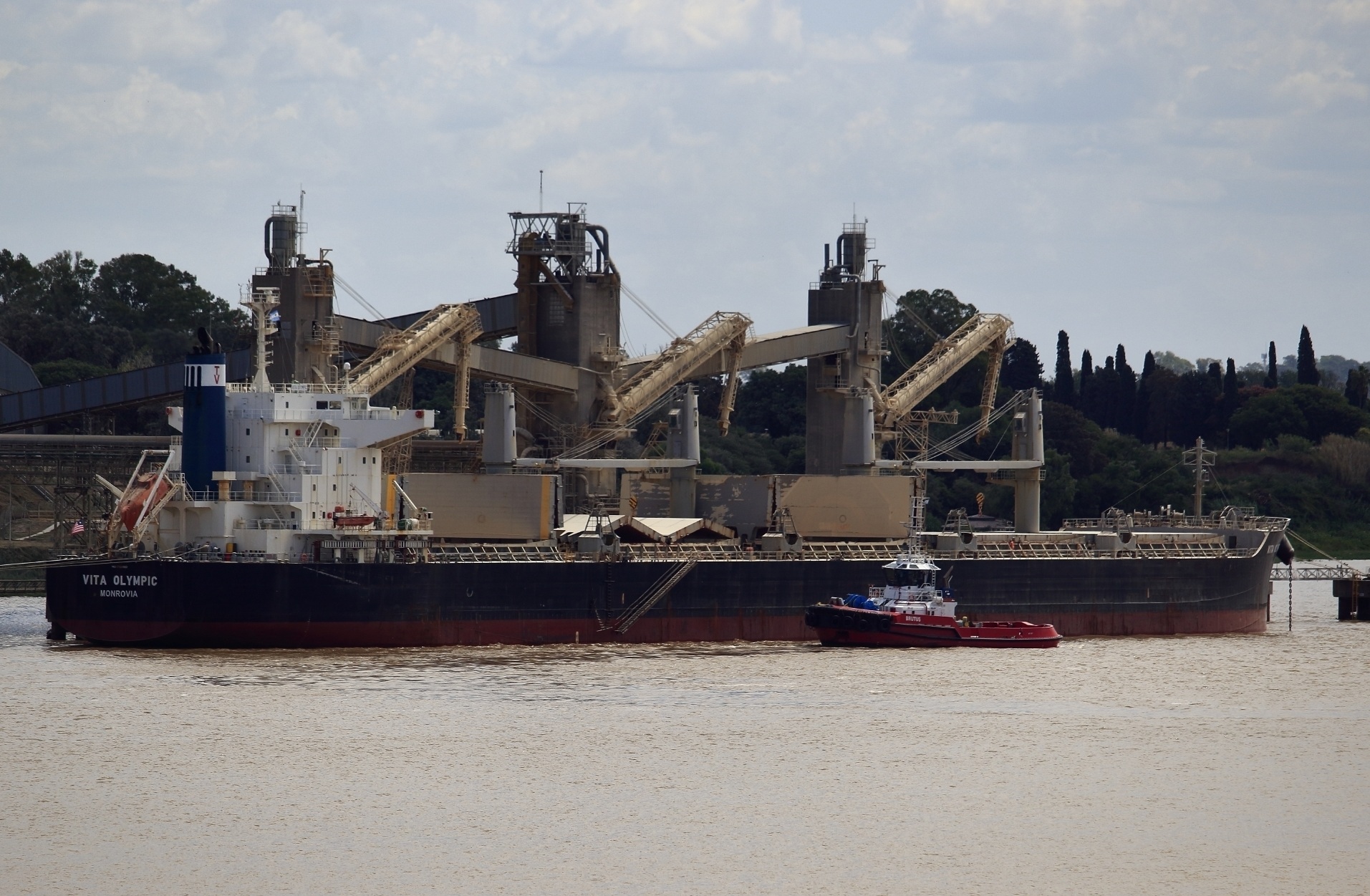 Vita Olympic - Ultramax Bulk Carrier